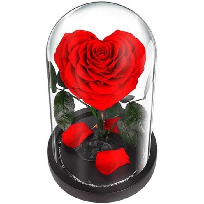 Rose Eternelle sous Cloche, Beauty and The Beast Rose, Infinity Rose dans  Un dôme en Verre, avec Base de lumières LED, Cadeaux r227 - Cdiscount Maison