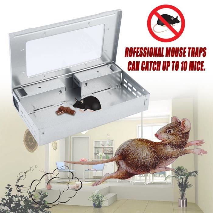 2 PCS Pièges à souris réutilisables en acier galvanisé ratière piège à rats  souricière de maison de magasin de bureau - Cdiscount Animalerie