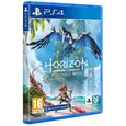 Horizon Forbidden West - JEU PS4-1