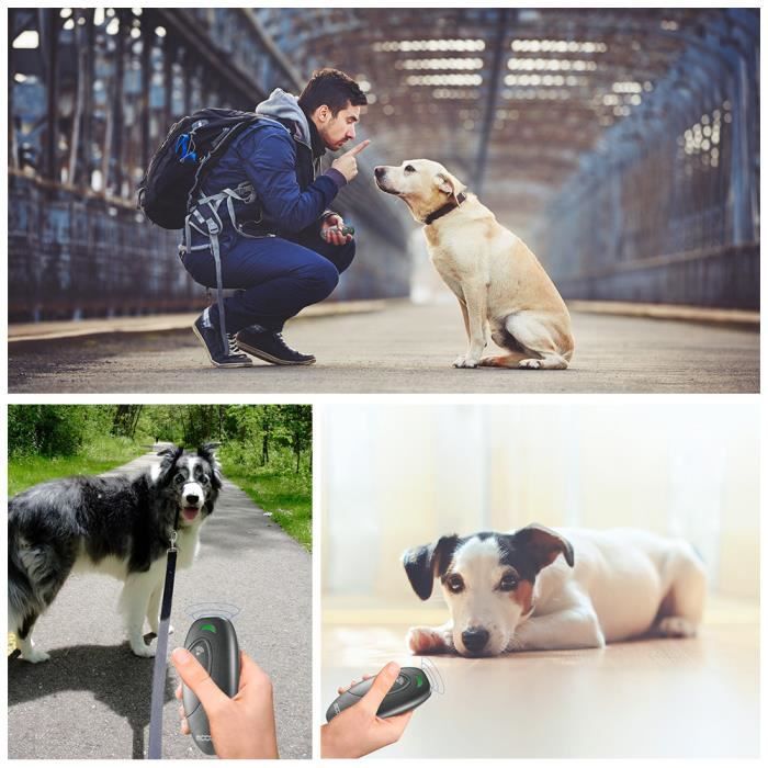 Petacc handheld hot sale dog repellent