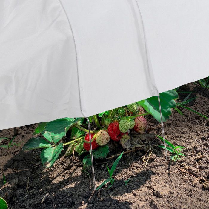 Mini Serre De Protection Pour Plantes - Tente Transparente 60x60x60cm, Anti-Insectes Et Intempéries