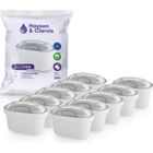 Haysen & Clarvis Cartouche Filtrante pour Carafe - Compatible avec Brita Maxtra, AmazonBasics (Lot de 10)