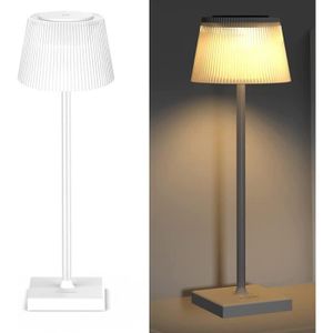 LIWI-Lampe de Chevet Sans Fil, Rechargeable Lampe LED Sans Fil a Pile,  Multicolore & Blanc Chaud Réglable Veilleuse, USB Lampe[333] - Cdiscount  Maison