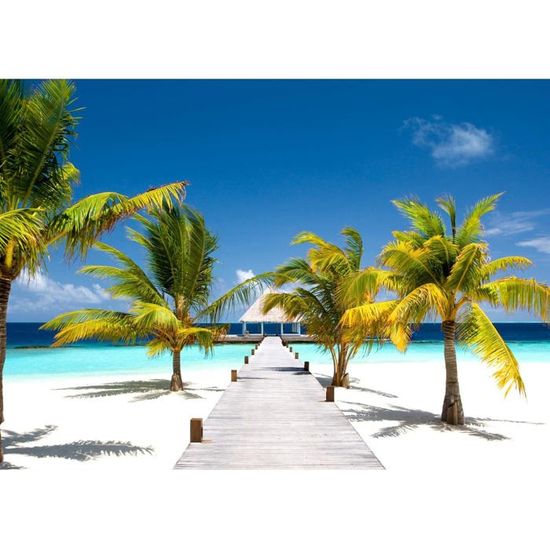 Runa Art Papier Peint panoramique Palm Beach de la mer 352 x 250 cm ...