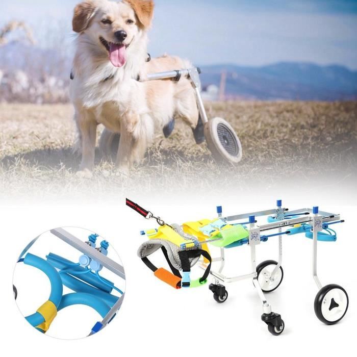 Fauteuil roulant chien