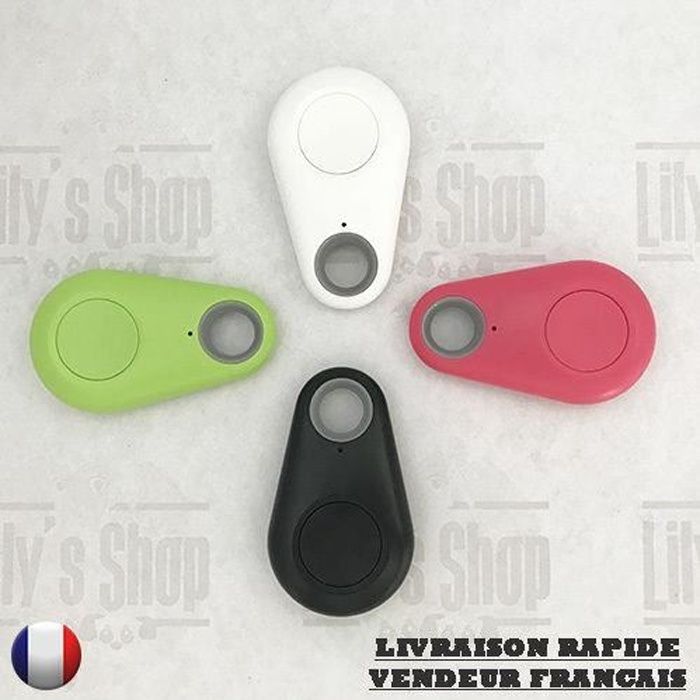 Mini traceur GPS Bluetooth pour chien, chat, voiture, porte-clés