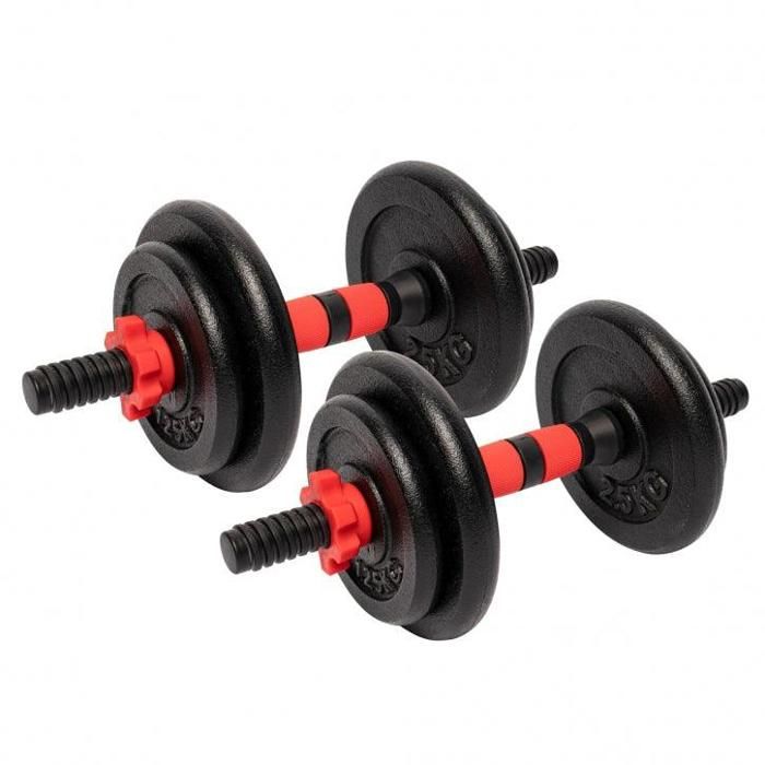 Set d'haltères avec disques en fonte de 25 mm - 15 KG
