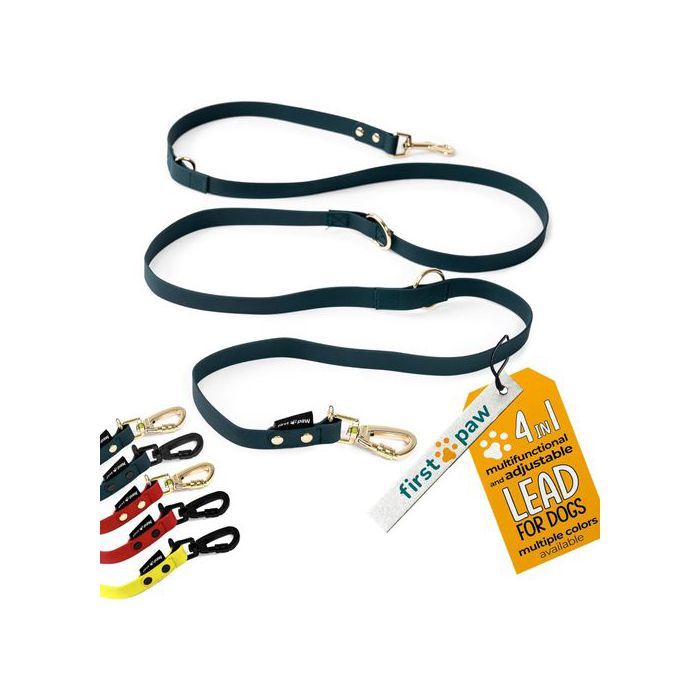 Meilleurs prix pour FIRSTPAW Laisse pour Chien Réglable Rembourrée 2 m Vert Foncé