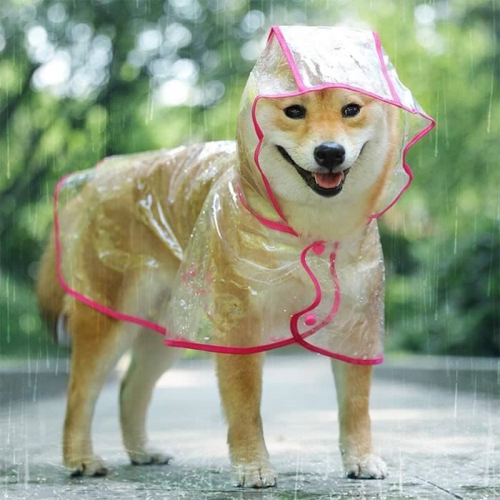 Impermeable chien petite taille new arrivals