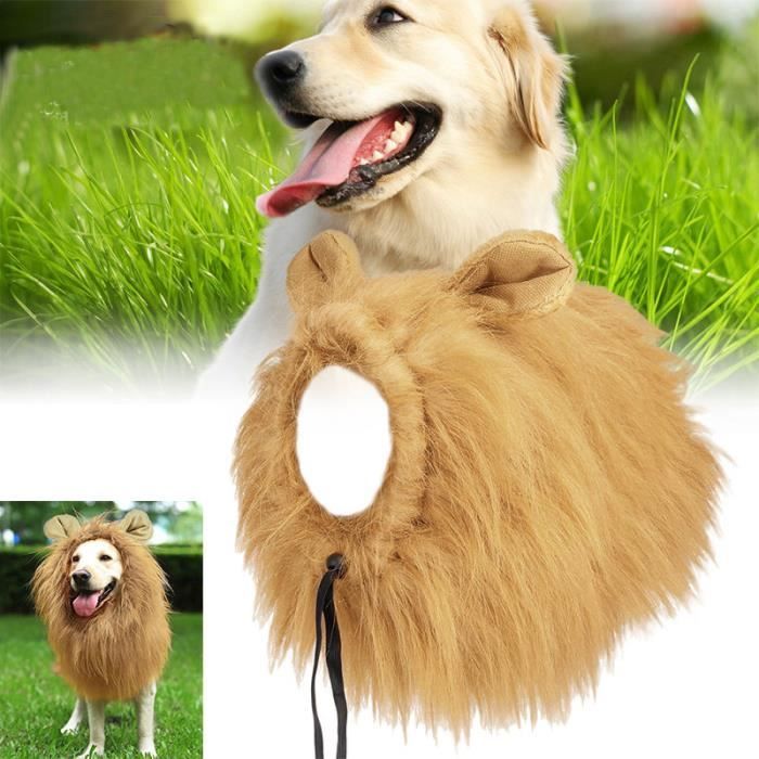 Costume Pour Chien Criniere De Lion Avec Perruque Et Oreilles Costume Deguisement Pour Animal De Compagnie Achat Vente Deguisement Costume Pour Chien Criniere Cdiscount