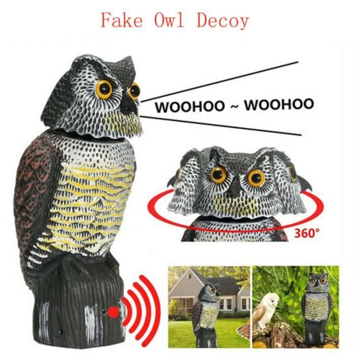 Grand leurre hibou réaliste avec tête rotative 1 pièce oiseau Pigeon