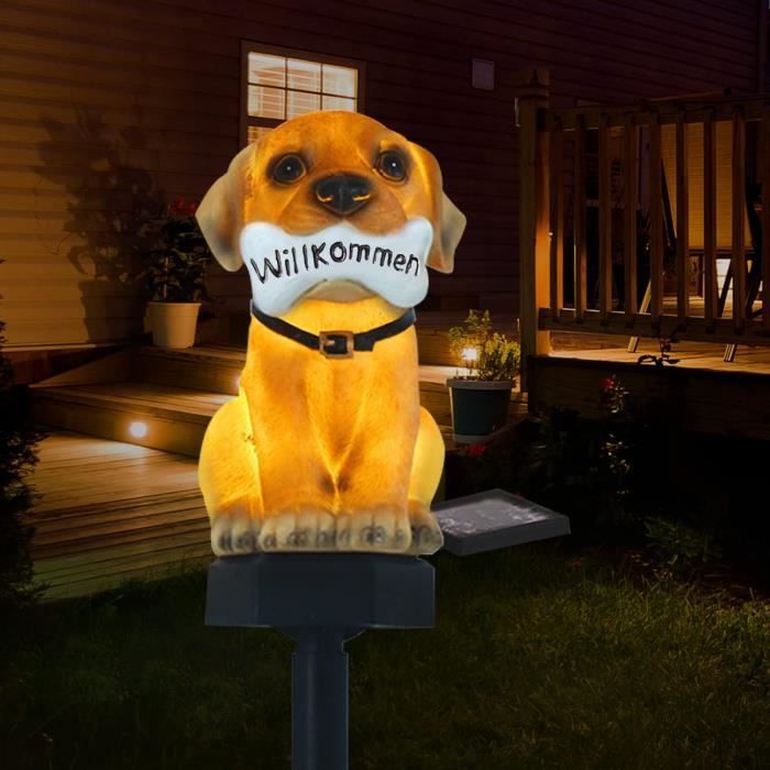 Chaussette Lumineuse De Sécurité Pour Chien – Réflecteur Flexible, Lampe LED Intégrée