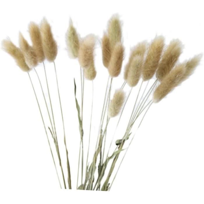 60 Pièces Fleurs Séchées Queues De Lapin 45 Cm - Bleu Profond Pour Décoration Maison, Mariage Et Vase