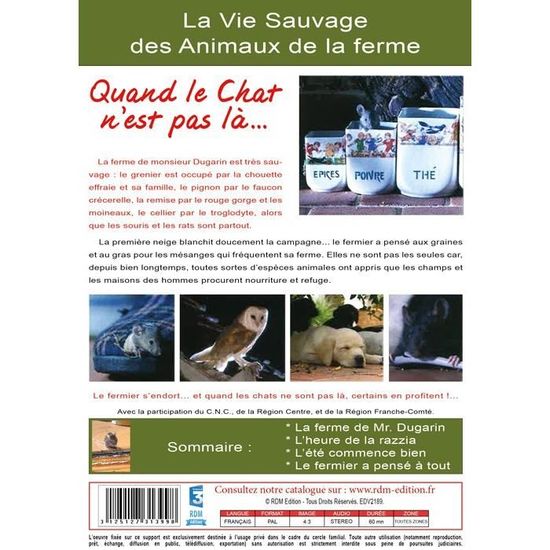 Quand Le Chat N Est Pas La La Vie Sauvage Des Animaux De La Ferme Support Dvd Cdiscount Dvd