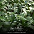 Viirkuja Treillis Métal pour Plantes grimpantes Lot de 2 - Tuteur Tomates 24x42cm - Jardin et Intérieur Monstera-2