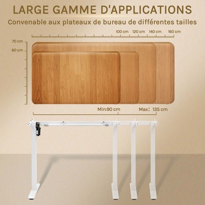 Bureau Assis Debout Électrique 120x60cm WOLTU - Réglable 72-120cm Avec USB Et Mémoire Anti-Collision