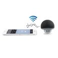 CLIPSONIC TES141N Mini Haut-parleur compatible Bluetooth® - Noir-0