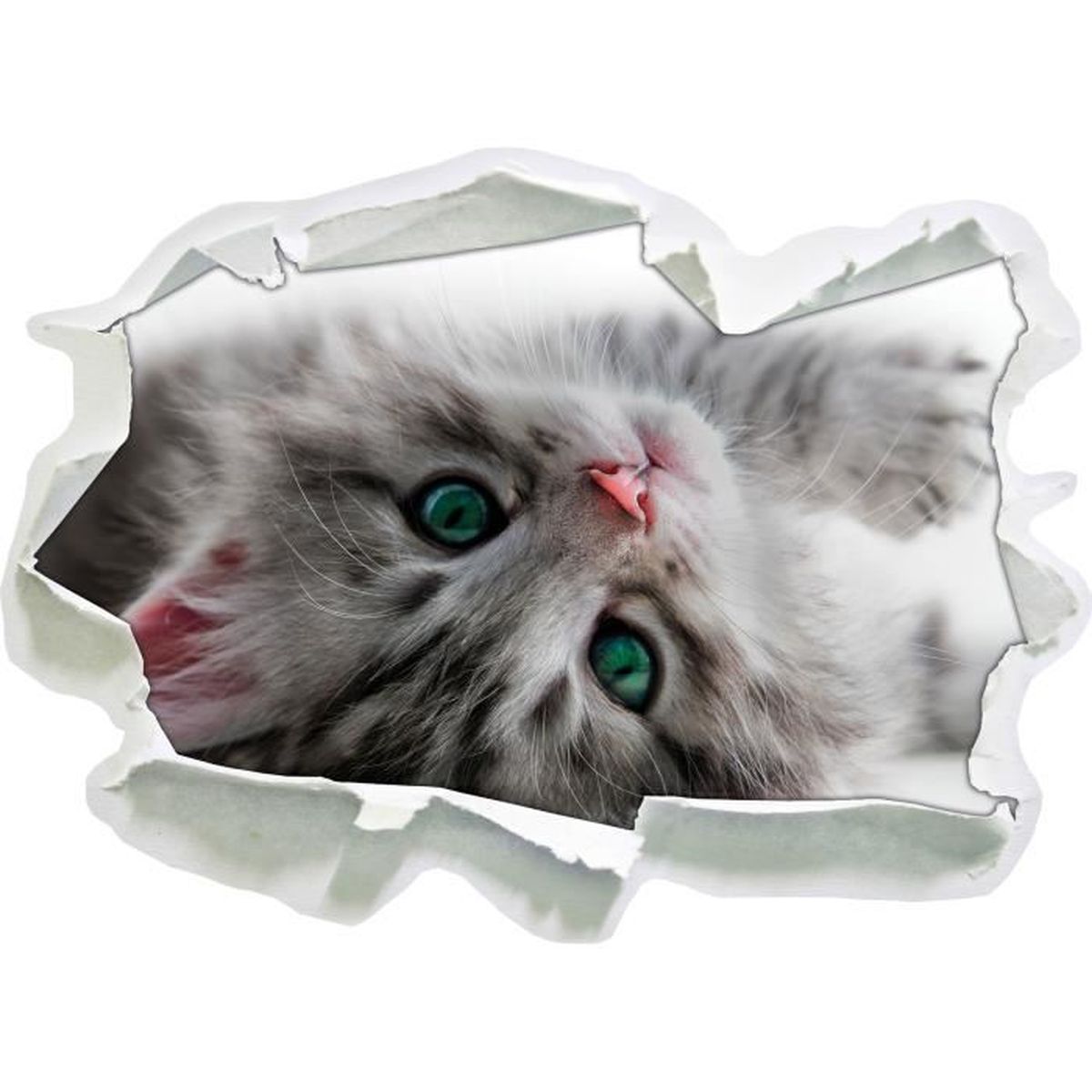 Chaton Doux Papier 3d Sticker Mural Taille 92x67 Cm Decoration Murale 3d Stickers Muraux Stickers Achat Vente Stickers Cdiscount Chaton Doux Papier 3d Sticker Mural Taille 92x67 Cm Decoration Murale 3d Stickers Muraux Stickers Achat Vente Stickers Cdiscount