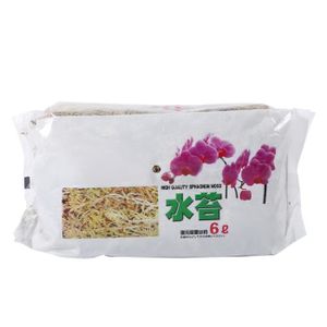 TERREAU - SABLE Mousse de sphaigne, mousse d'orchidée, mousse d'eau de terreau pour orchidées, pour plantes d'intérieur jardinage Chengqi01