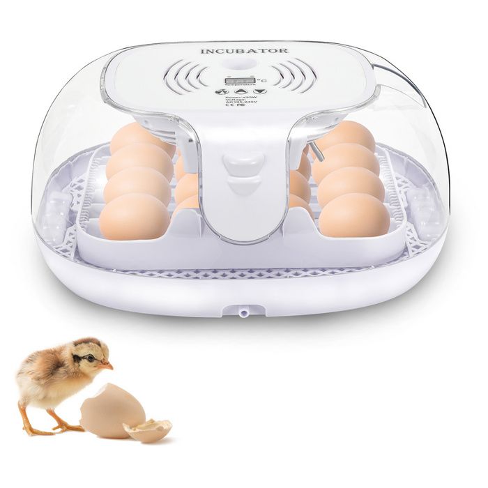 Comparer les prix de Clanmacy Couveuse Incubateur Oeuf Automatique LED Machine Livré avec lampe à oeufs Deux styles facultatifs 16 Oeufs Gris et blanc