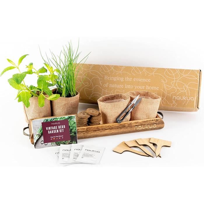 Kit Prêt à Pousser d'Herbes Aromatiques – Graines 100% Bio – Made In France  - Jardin potager d'intérieur – Plante (Ba[2] - Cdiscount Jardin