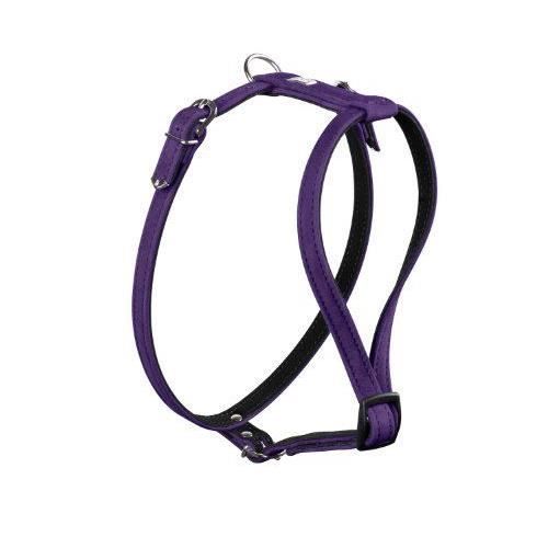 Harnais Petite Taille Cheval Harnais D'attelage Débutant En Bêta