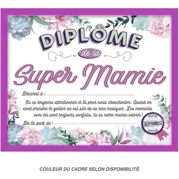 Cadre 'Diplôme de la Super Mamie' rose - 25x20x1.5 cm [Q9599] - Cdiscount  Maison