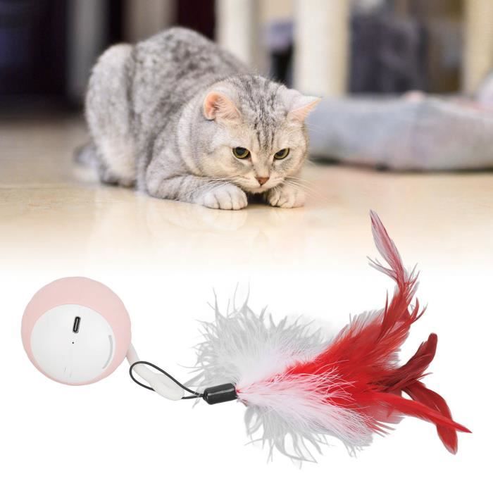 Meilleurs prix pour VGEBY boule roulante automatique de chat Boule roulante automatique, 2 vitesses, jouet interactif animalerie jouet Pastèque