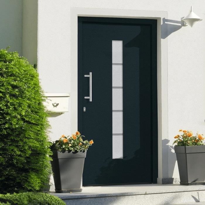 vidaXL Porte dentrée Aluminium et PVC Anthracite 100x210 cm