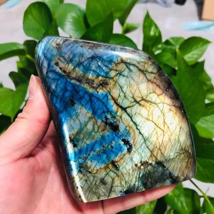 Fossile Ammonite Pierre Naturelle 200g-700g - Spécimen Cristal Pour Décoration Et Lithothérapie