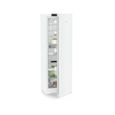 Réfrigérateur 1 porte LIEBHERR RBE5220-20 - Capacité 382L - Froid ventilé - Niveau sonore 36 dB-1