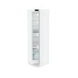 Réfrigérateur 1 porte LIEBHERR RBE5220-20 - Capacité 382L - Froid ventilé - Niveau sonore 36 dB-2