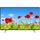 Tv 4k smart tv 55 pouces