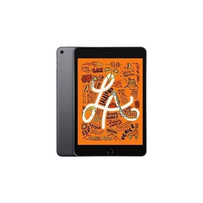 ipad-mini-5-2019-64-go-gris-