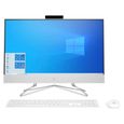 HP PC All-in-One - 24"FHD - i5-1035G1 - RAM 8Go - Stockage 256Go SSD + 1To HDD - GeForce MX330 - Windows 10-1