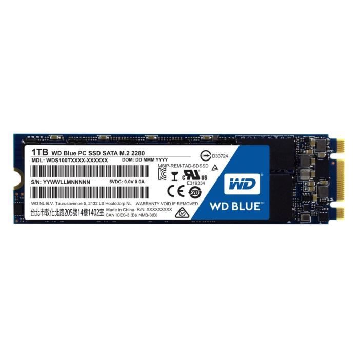 WD Blue™ SSD 1 To M.2 2280 WDS100T1B0B