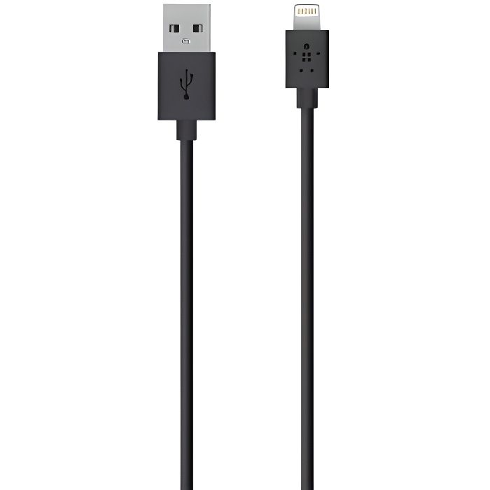 BELKIN Câble de chargeur USB - Compatible Ipad / Iphone / Ipod - 1,2m - Noir