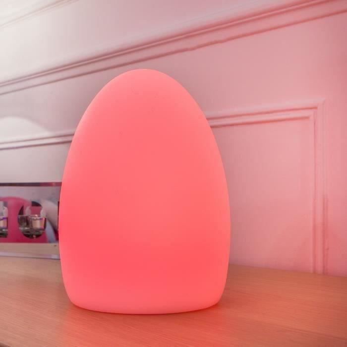 LUMISKY Œuf lumineux Led sur batterie induction 23cm