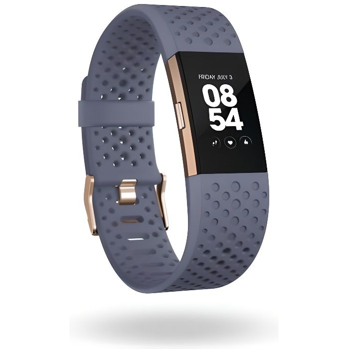 FITBIT Montre de sport Connectée Charge 2 - Rose Gold