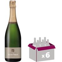 Champagne Joly de Trébuis x6
