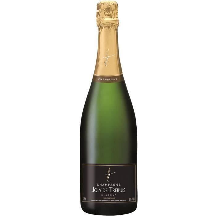 Champagne Joly de Trébuis Millésimé 2011 Brut - 75 cl