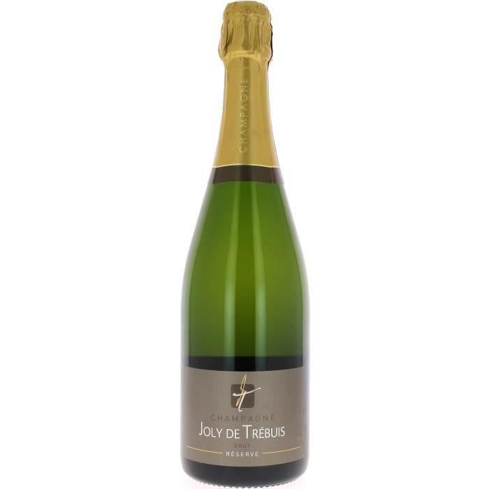 Champagne Joly de Trébuis 75 cl