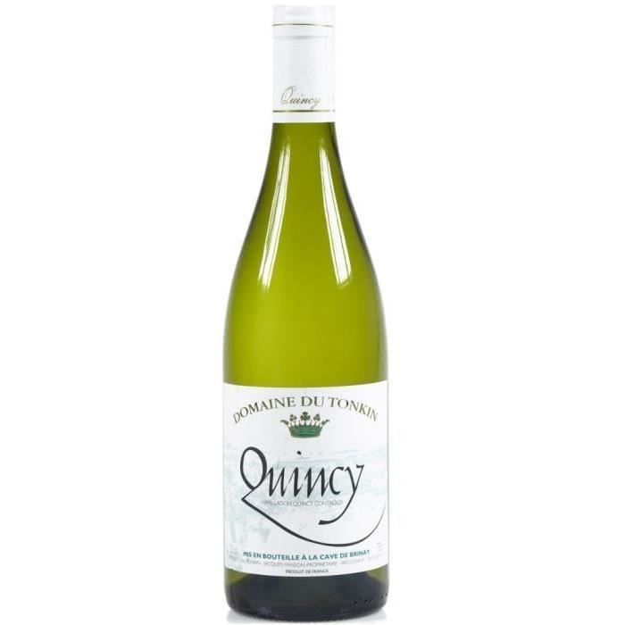 Domaine du Tonkin 2020 Quincy - Vin blanc de la Val de Loire