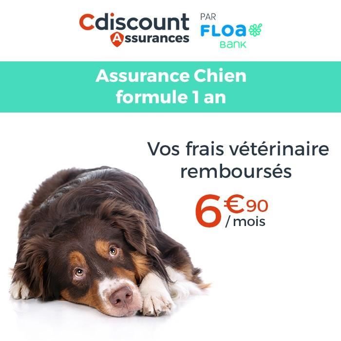 Assurance Chien 1 an