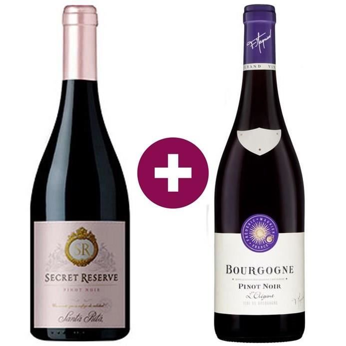 Duo des Pinot Noir Chili & France - Santa Rita 2019 Pinot noir du Chili & Frédéric Magnien Bourgogne Pinot Noir - 2 x 75cl