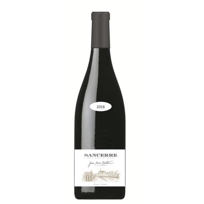 Jean Marie Berthier 2018 Sancerre - Vin rouge de Loire