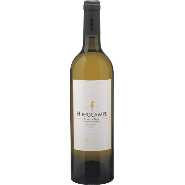 Les Caves Richemer Hippocampe 2019 Côtes de Thau - Vin blanc de Languedoc