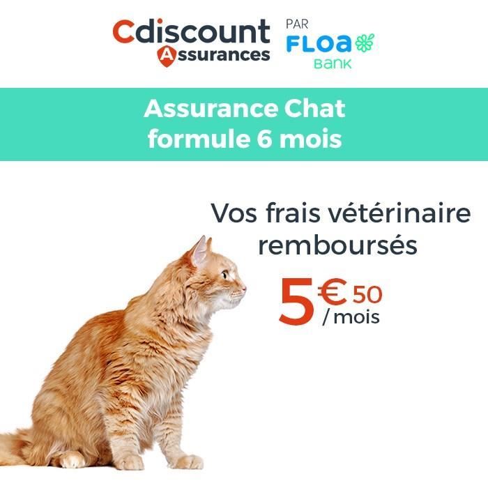 Assurance Chat 6 mois