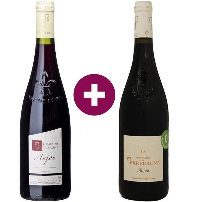 Duo de Vin Conventionel et Sans Sulfites Ajoutés - Domaine de Terrebrune 2020 Anjou - Vin rouge de la Vallée de la Loire - 2 x 75cl