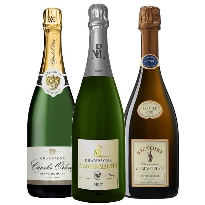 Pack 3 bouteilles Champagne de Producteur